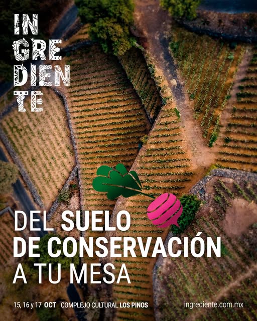 Flyer de 15, 16 y 17 de octubre de 2026
